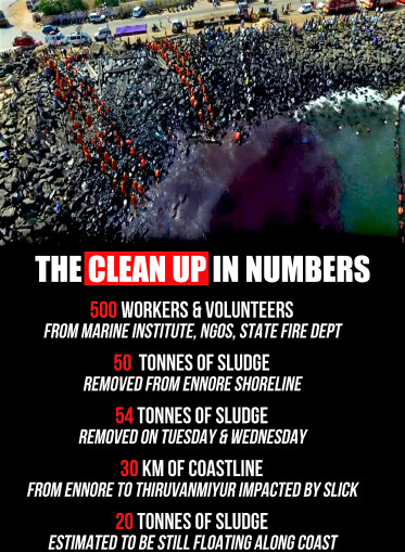 the_clean_up_in_numbers